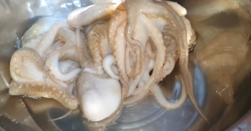 굳이 '양념' 필요 없습니다...주꾸미를 '이렇게' 하면 아이들이 먼저 젓가락 들이대요