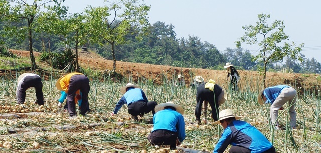 전남도, 농어민 공익수당 70만원 지급…10만원 인상