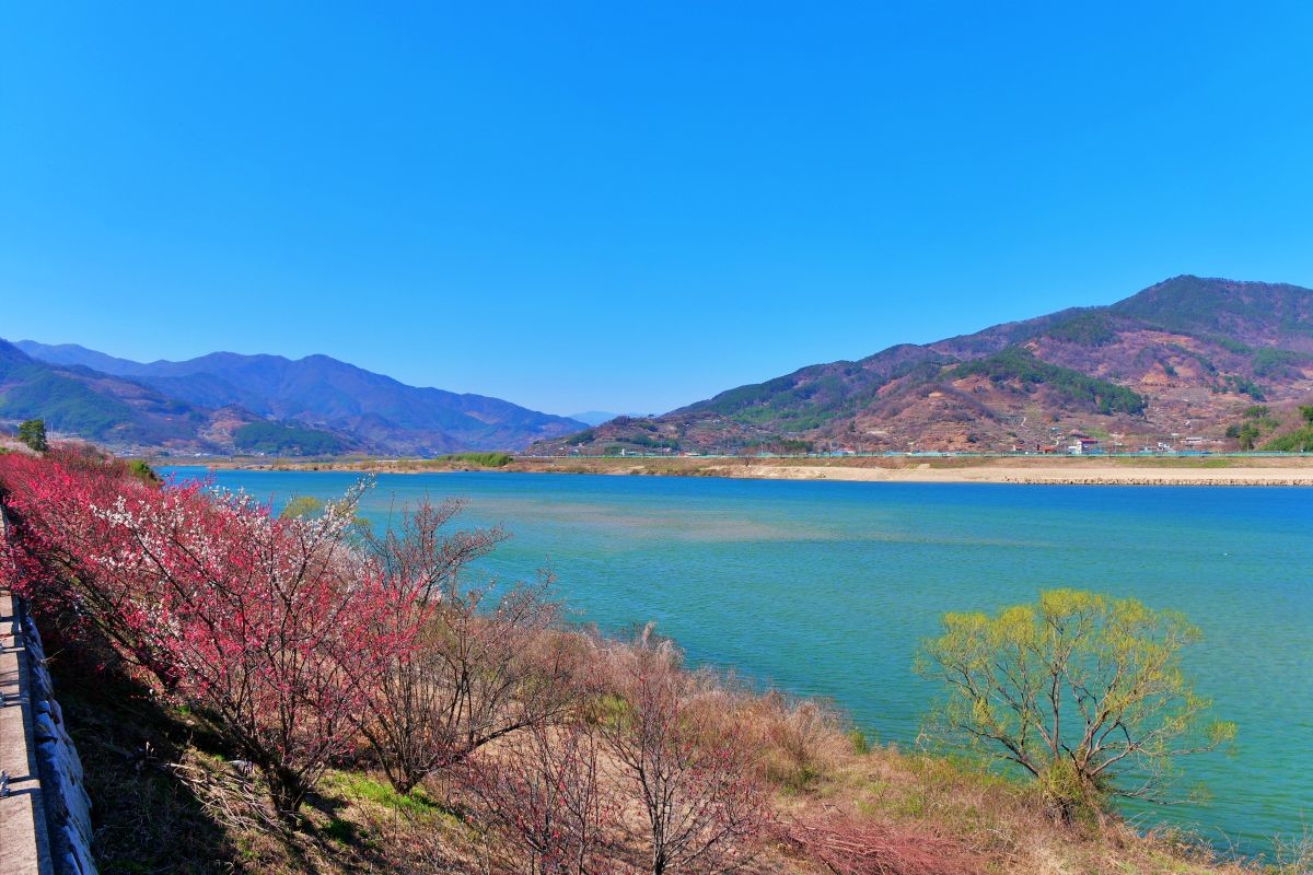 섬진강 풍경   / puppymandoo-Shutterstock.com