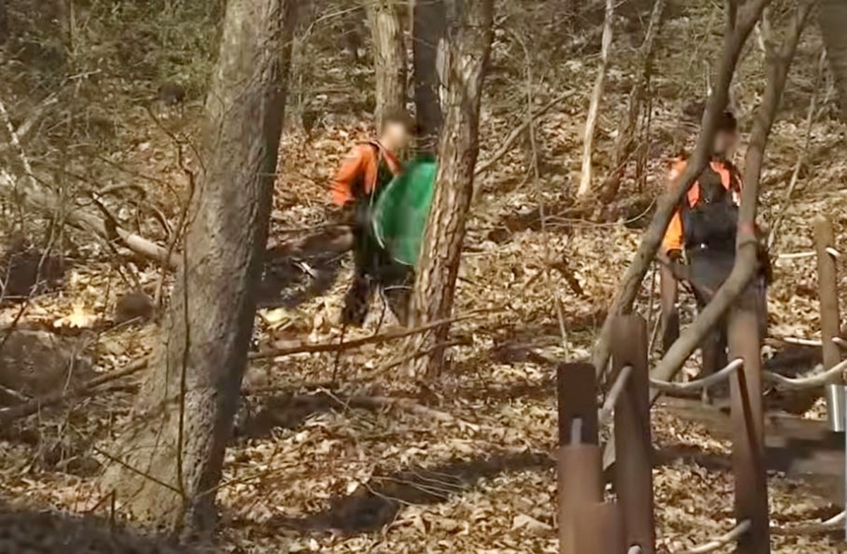 대전시 중구 사정동에 있는 오월드에서 늑대 '늑구'가 탈출한 가운데 '늑구'를 찾기 위한 당국의 수색 작업이 진행되고 있다. 기사 이해를 돕기 위한 자료 사진. 대전소방본부에 따르면 14일 오전 6시 35분쯤 대전시 중구 무수동에서 수색 당국이 포획 작업을 벌였으나 늑대 '늑구'는 포획망을 뚫고 빠져나간 것으로 파악됐다. 이후 수색 당국이 드론을 통해 재추적에 나섰으나 끝내 포착에 실패한 것으로 전해졌다.      / 유튜브 'KBS News'