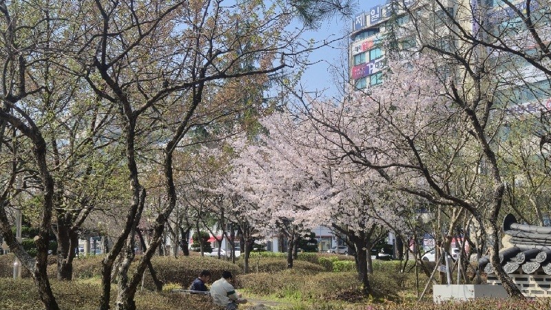 [날씨] 충남권, 낮 기온 25℃ 웃돌아...큰 일교차 주의