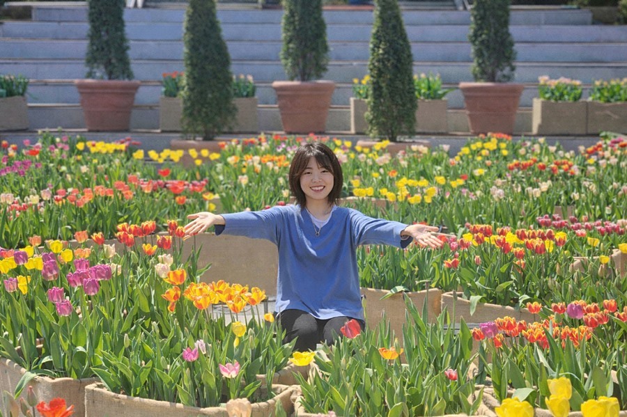 포천시, 체육공원 분수광장에 '체험형 튤립 미로 화단' 조성