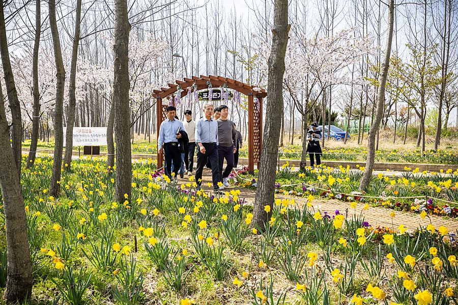 수도권 힐링 명소 등극한 '계양아라온'...낮에는 수선화, 밤에는 빛의 거리