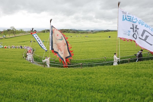 고창청보리밭축제 / 고창군