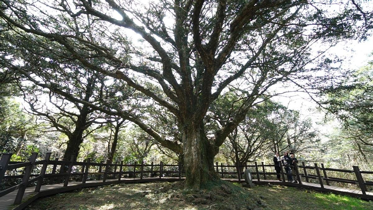 EBS1 '한국기행' 미리보기 페이지에서 제공하는 '바당도 숲도, 제주도 좋아마씸' 편 자료 사진. / EBS1 제공