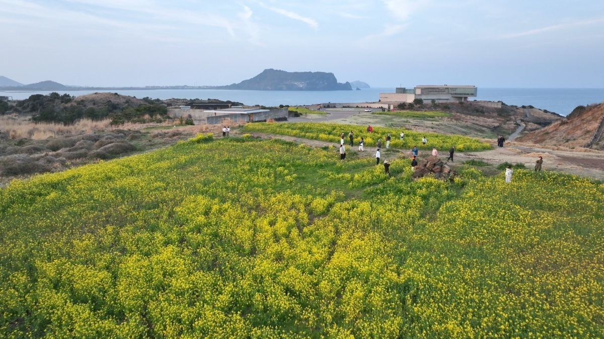 EBS1 '한국기행' 미리보기 페이지에서 제공하는 851편 '요즘, 제주' 대표 사진. / EBS1 제공