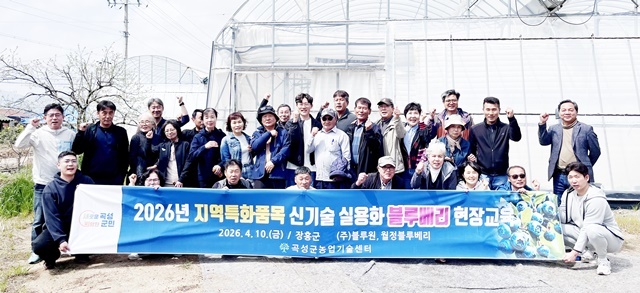 "고품질 블루베리로 승부수 띄운다"… 곡성군, 선진 재배기술 벤치마킹 '구슬땀'