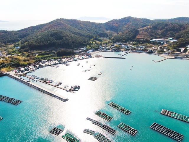 완도읍 망남리 전경 / 완도군