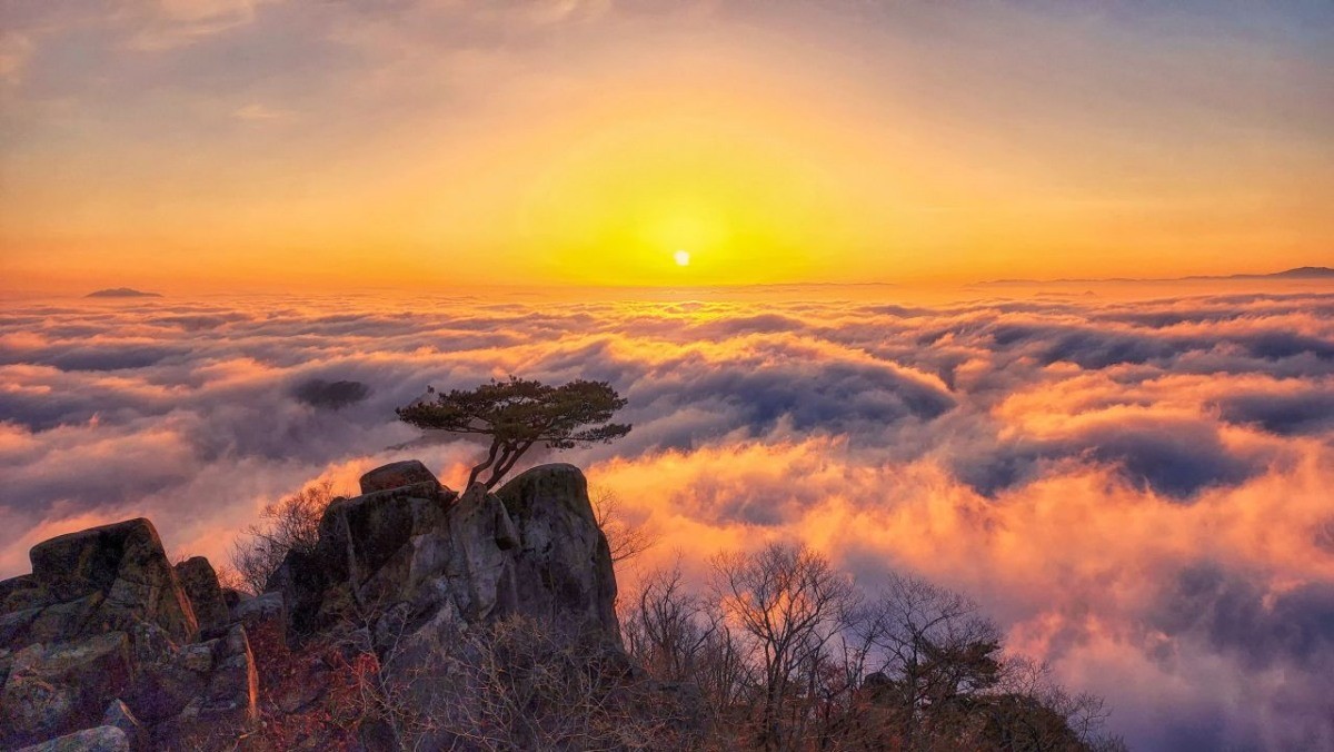 대둔산 일출과 소나무 / 한국관광공사(촬영 : 이수빈)