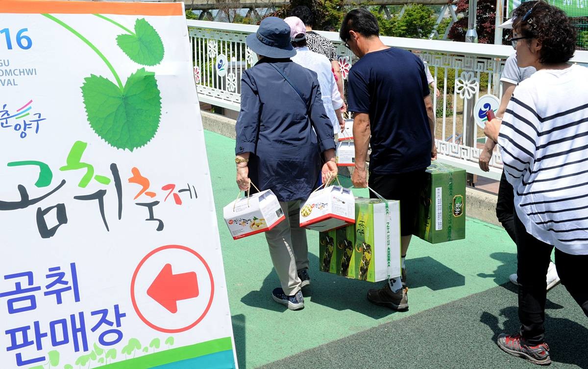강원 양구 곰취축제. 자료 사진 / 뉴스1