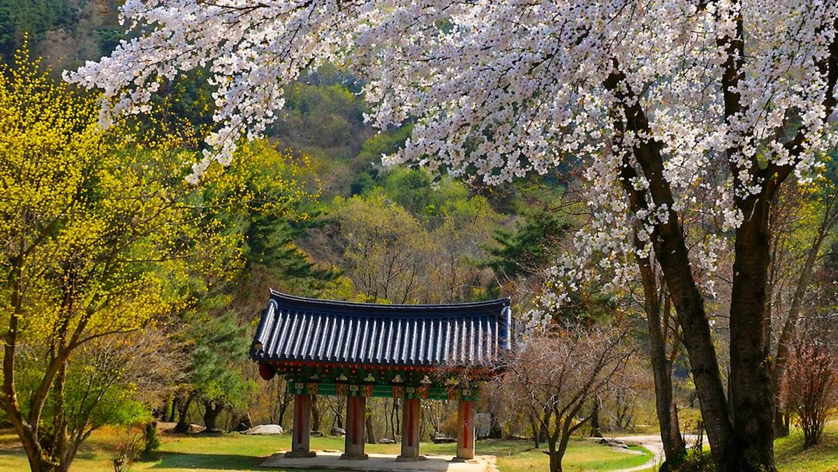 환성사. 기사 내용 토대로 AI툴 활용해 제작한 자료사진.