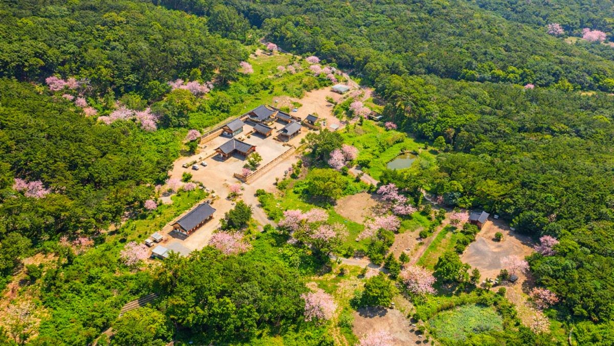 환성사. 기사 내용 토대로 AI툴 활용해 제작한 자료사진.