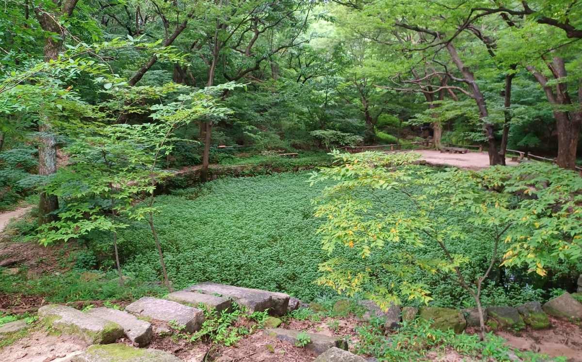 백사실계곡 백사실별서터 / 연합뉴스
