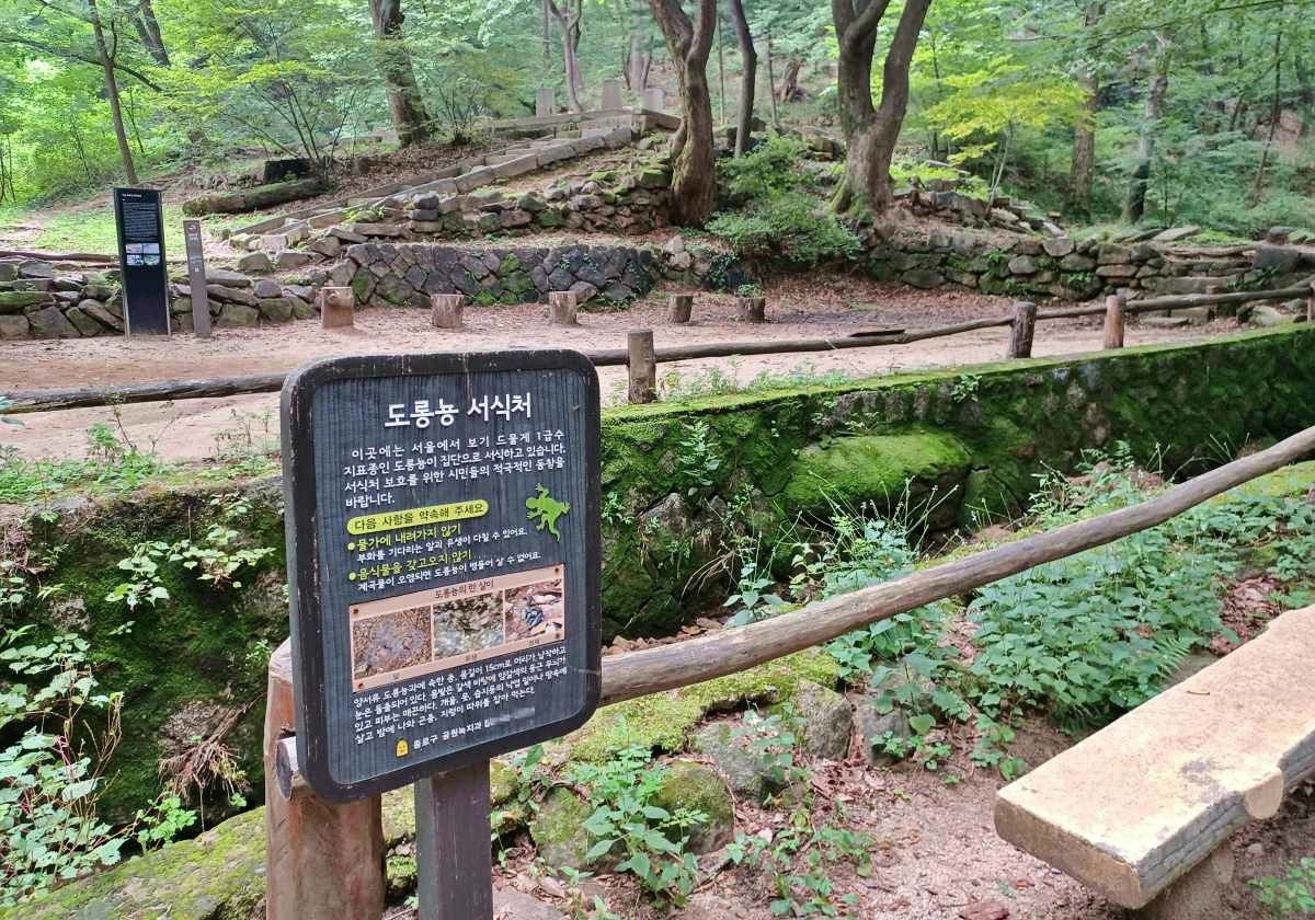백사실계곡 도롱뇽 서식처 / 연합뉴스
