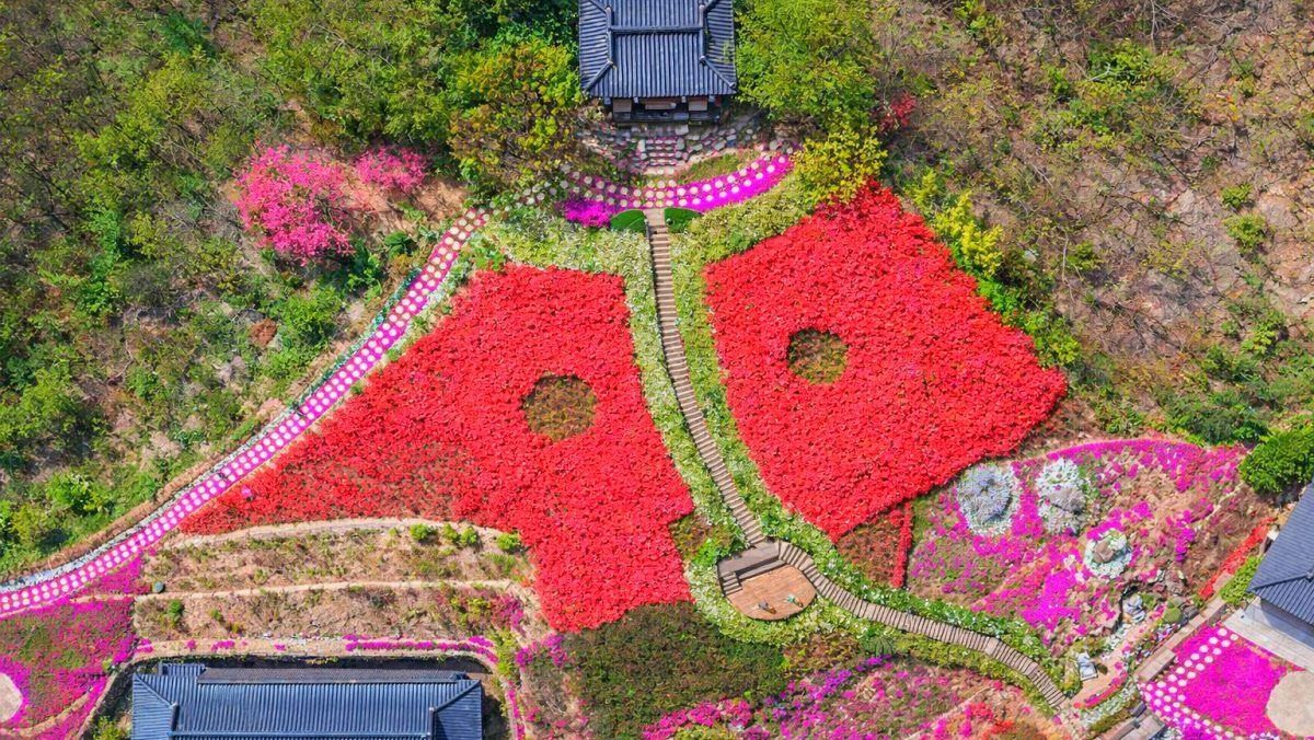 산청 대명사. 기사 내용 토대로 AI툴 활용해 제작한 자료사진.
