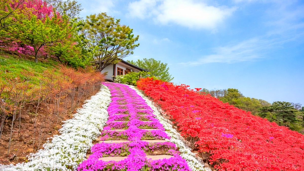 산청 대명사. 기사 내용 토대로 AI툴 활용해 제작한 자료사진.