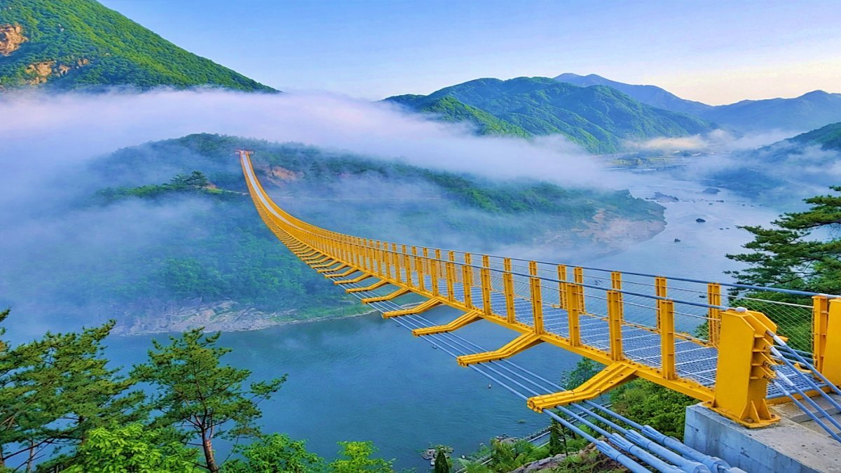굽이치는 금강 위 짜릿한 고공 산책…길이 275m '무료' 출렁다리 명소
