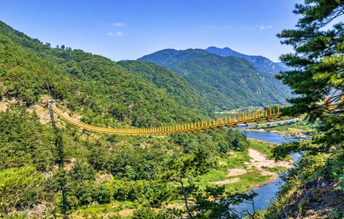 월영산 출렁다리. 기사 이해를 돕기 위해 AI로 제작한 자료 이미지.