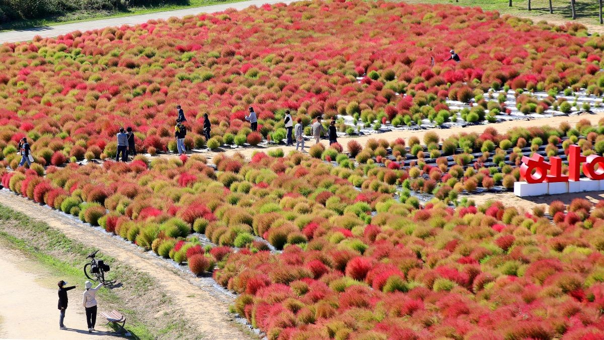 가을철 황산공원. / 뉴스1