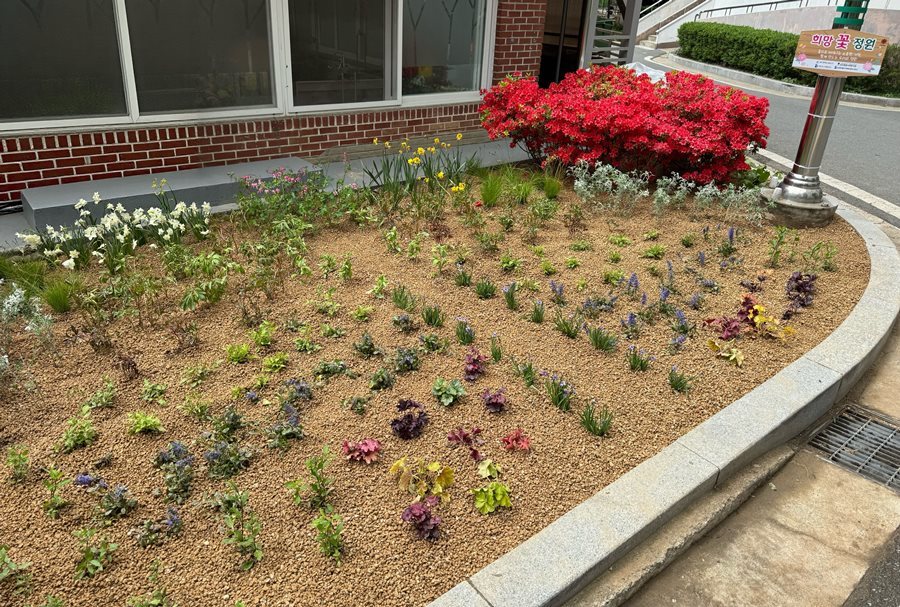 대구도시개발공사, 상인비둘기아파트 '희망 꽃 정원' 조성