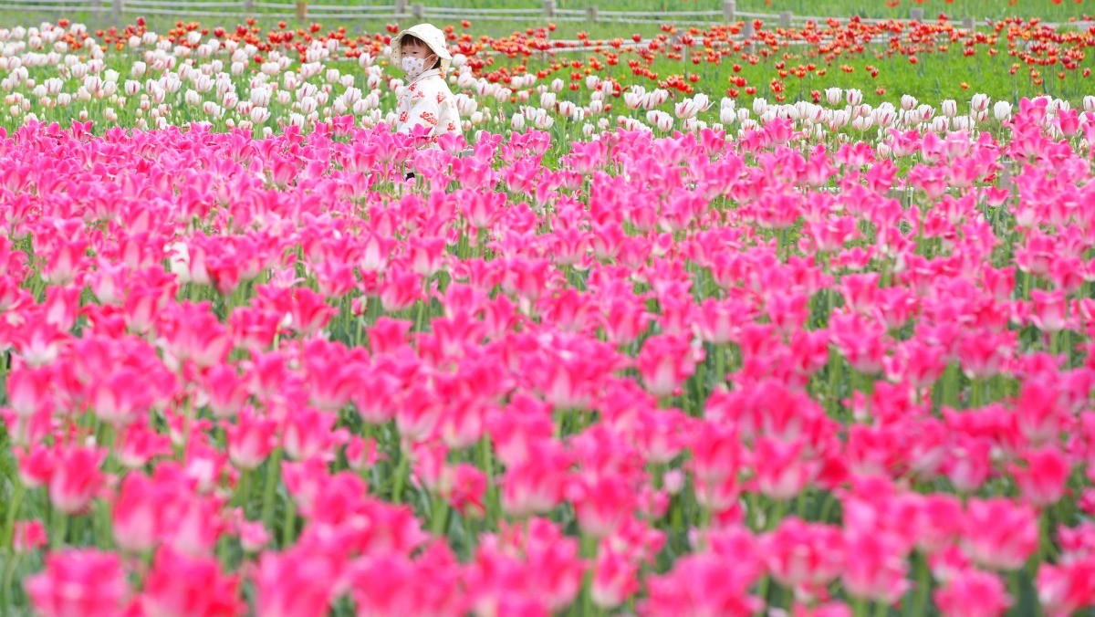 황산공원. / 뉴스1