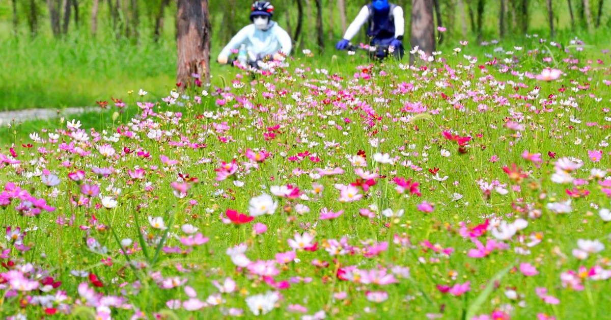 황산공원. / 뉴스1