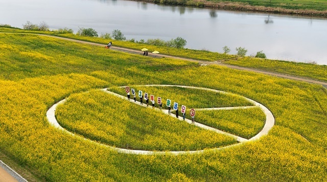 "유채꽃밭에 피어난 민주주의"… 나주시, 이색 '기표용구' 포토존 눈길