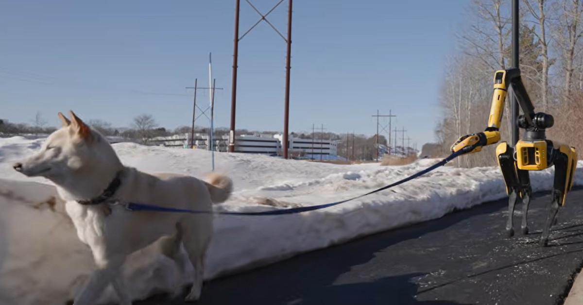 구글 제미나이 탑재했다…전 세계가 주목한 똑똑한 '로봇'
