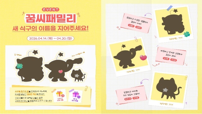 "꿈순이의 엄마·아빠 고양이 이름을 지어주세요"