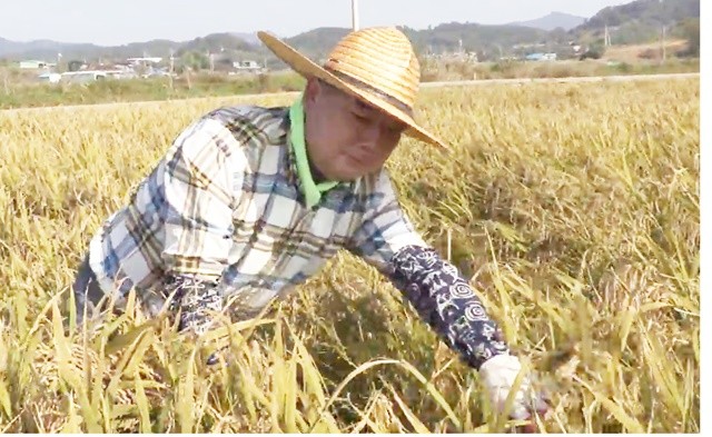 조국혁신당 이윤행 함평군수 후보