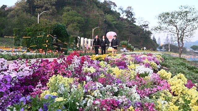 관광객들이 화순읍 꽃강길에 식재된 봄꽃을 보면서 봄을 만끽하고 있다. / 노해섭 기자