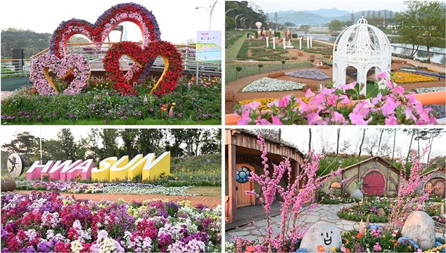 화순읍 꽃강길에 식재된 봄꽃 / 노해섭 기자