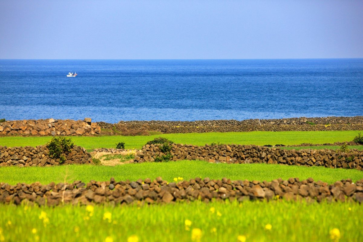 우도 / 한국관광공사(촬영 : 김지호)