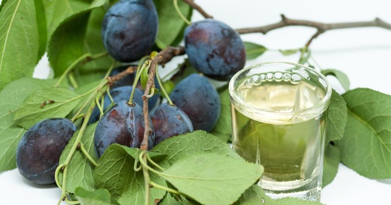 자두 가지와 자두 브랜디 한 잔이 놓인 화이트 배경 / 셔터스톡