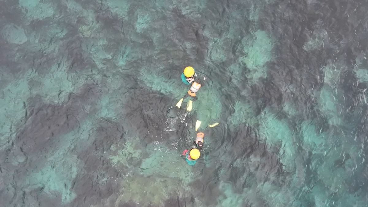 EBS1 '한국기행' 미리보기 페이지에서 제공하는 '파란이네 바당, 가파도' 편 자료 사진. / EBS1 제공