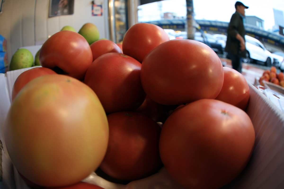 서울 동대문구 경동시장의 한 과일가게에 토마토가 진열되어 있다. / 뉴스1
