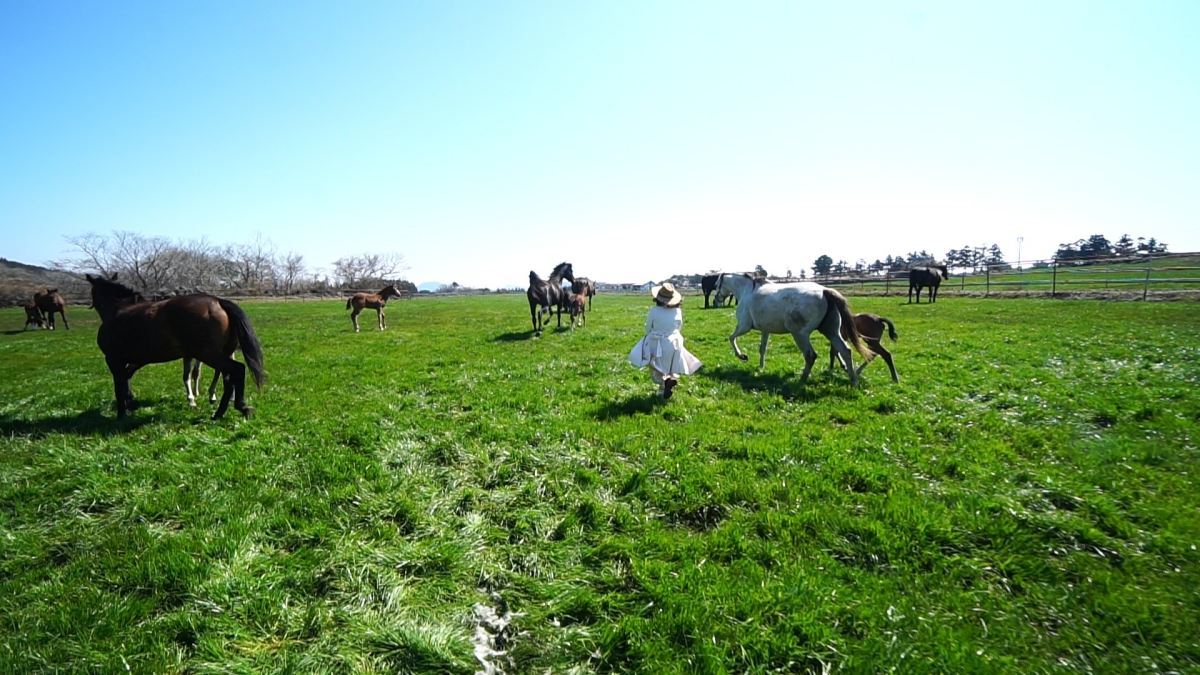 한국기행 요즘, 제주 5부…요즘 제주 여행에서 '인기'인 것