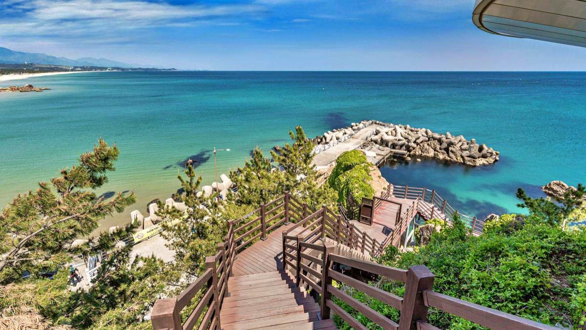 동해 절경·백사장·해안 산책로 다 갖췄다…200년 '애국송'이 반기는 무료 명승