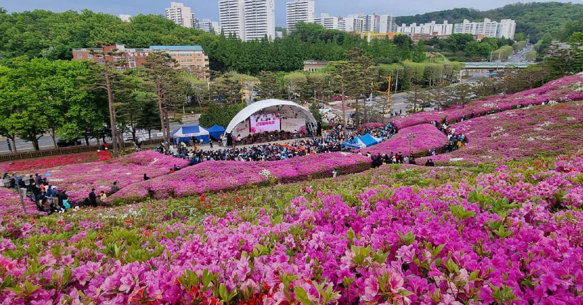 군포 철쭉 축제 / 군포시청
