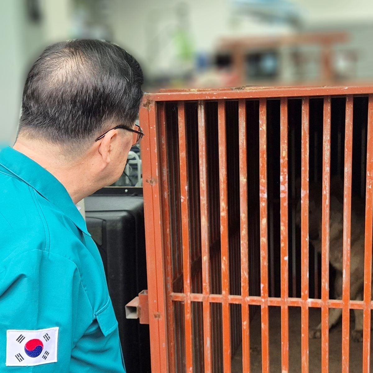 포획된 늑구를 바라보는 이장우 대전시장. / 이장우 대전시장 페이스북