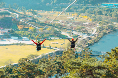 정읍 구절초 지방정원 명물 ‘짚와이어’ 21일 개장…“짜릿한 봄 만끽하세요”