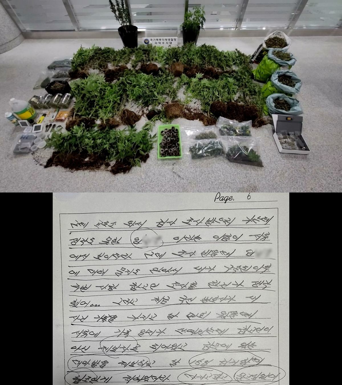 KBS ‘추적60분’ 제공 자료 사진. / KBS 제공