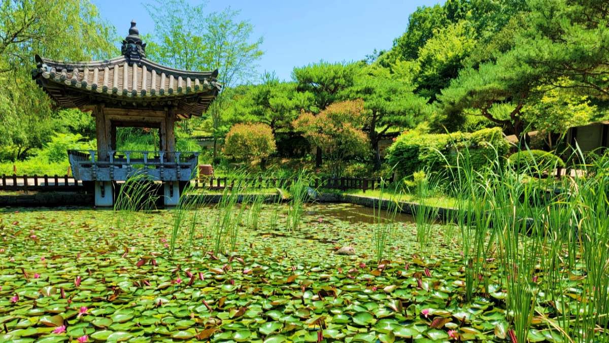 안면도수목원 / kbell21-Shutterstock.com