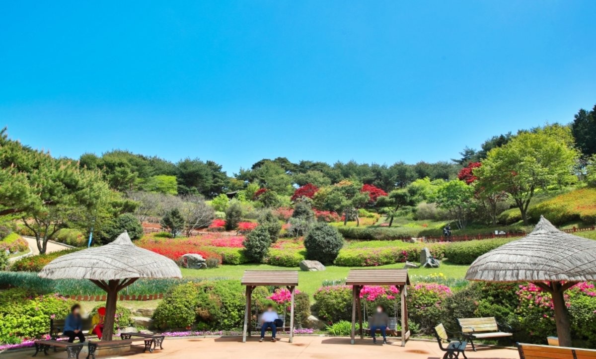 안면도수목원 / 충청남도-충남관광 홈페이지