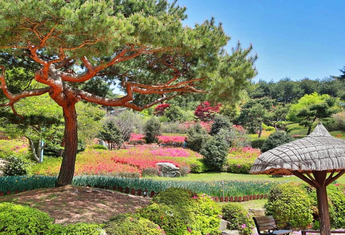 안면도수목원 / 충청남도-충남관광 홈페이지