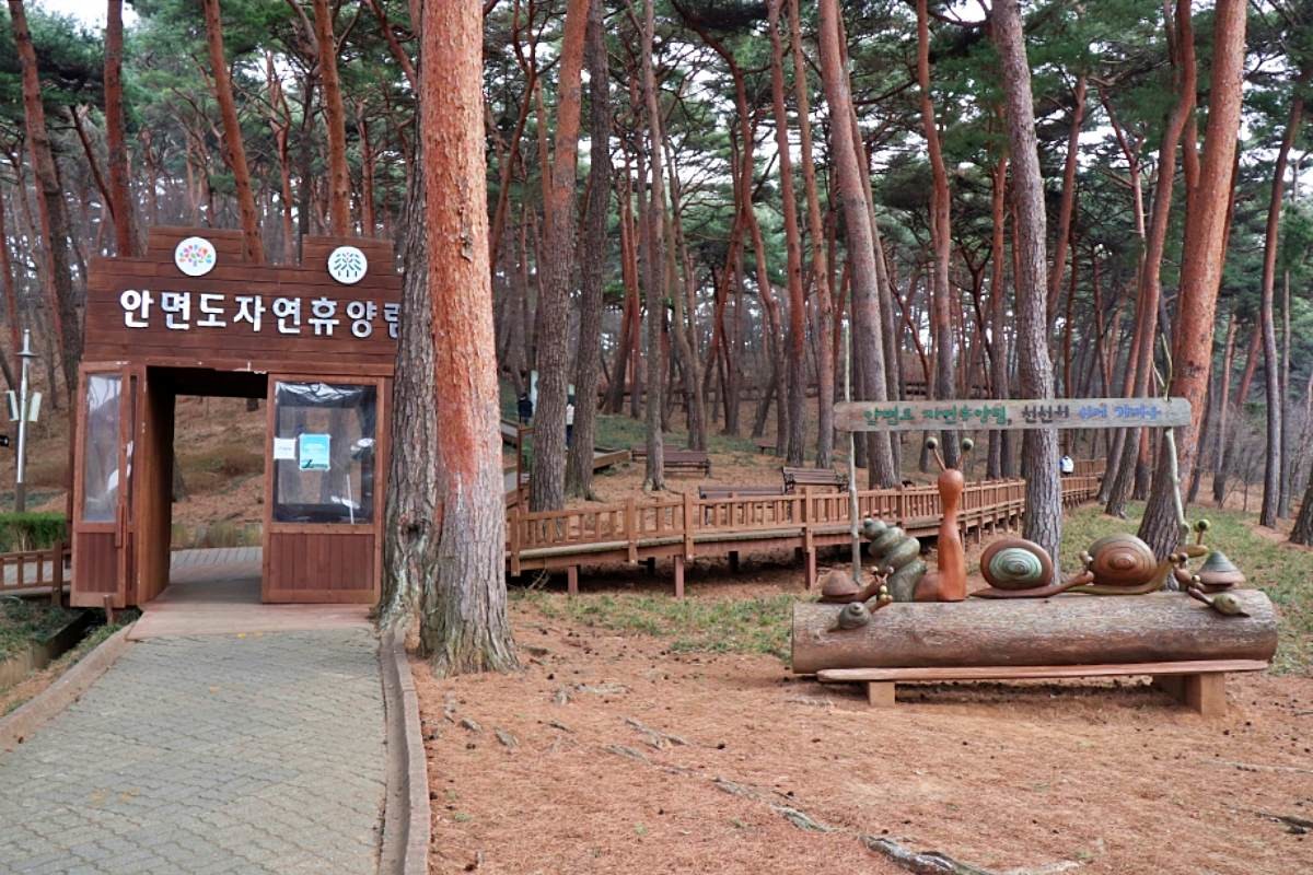 안면도자연휴양림 / 충청남도-충남관광 홈페이지
