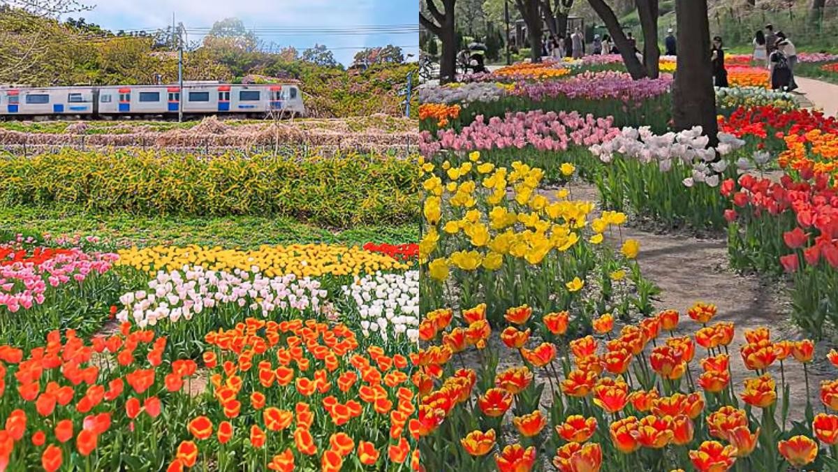 용비쉼터정원 포토존들. / 유튜브 '아이미', 유튜브 '포비'