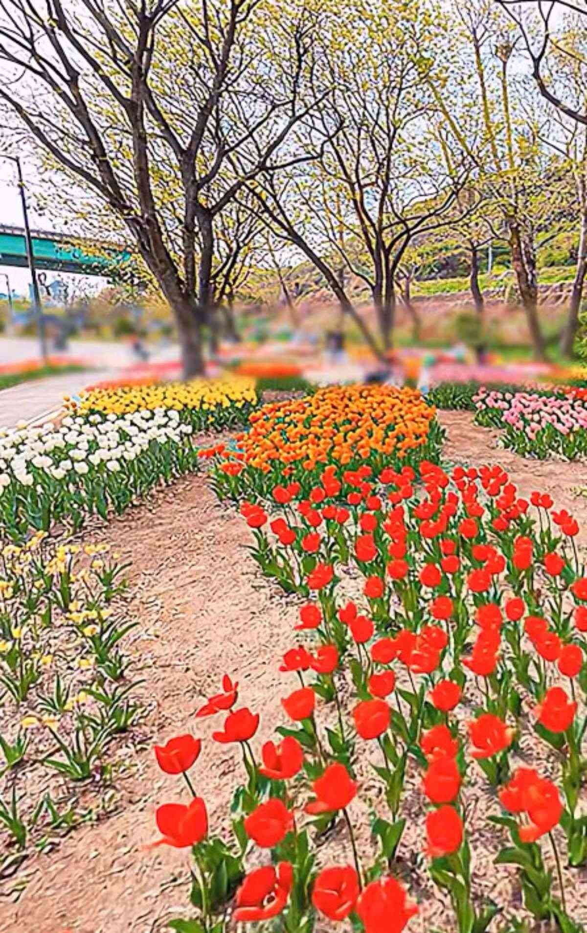 용비쉼터정원. / 유튜브 '아이미'