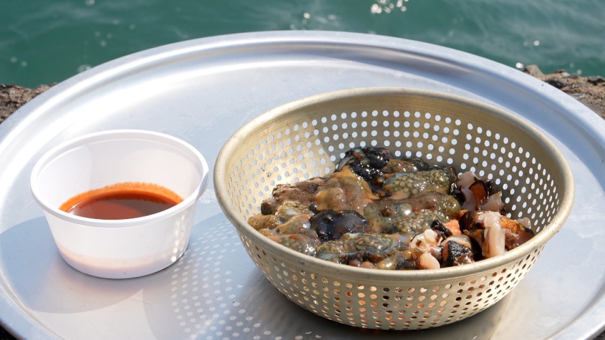 한국기행 가성비 투어 2부…우리가 몰랐던 '진짜 부산'은?