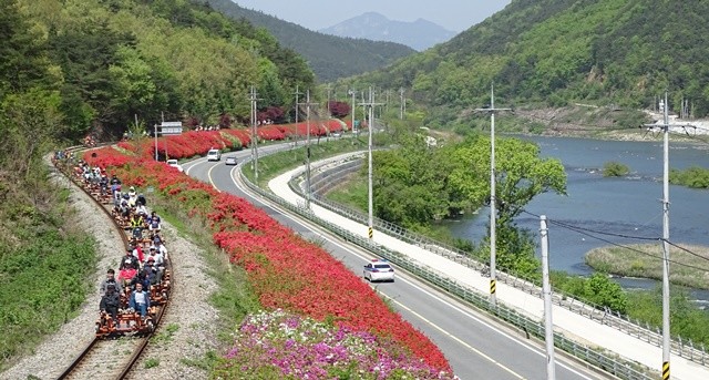 섬진강 줄기를 따라 불타오르듯 피어난 곡성의 철쭉사이로 상춘객들이 레일바이크를 따면서 봄을 만끽하고 있다. / 노해섭 기자